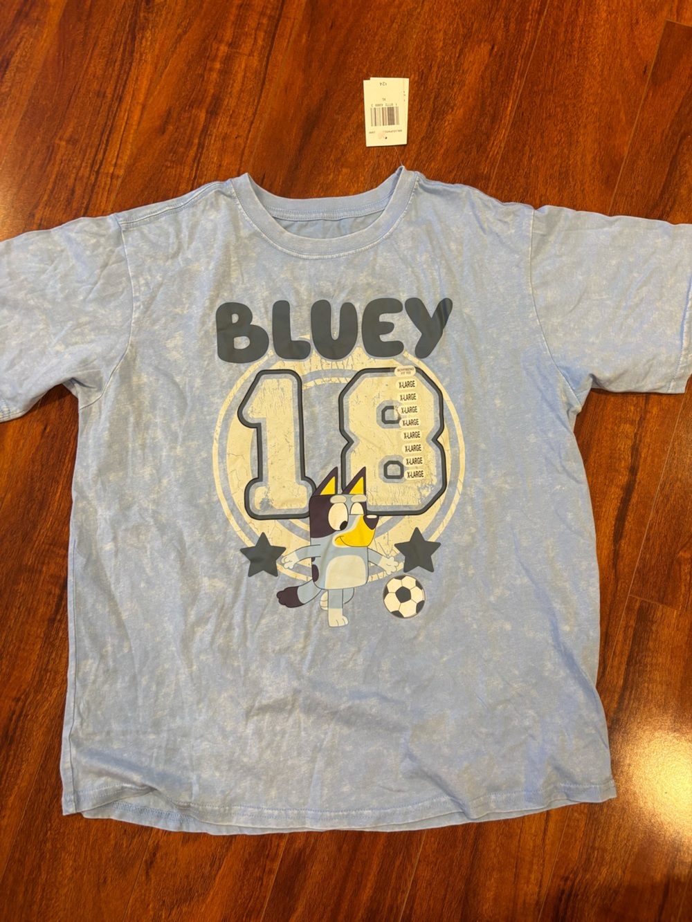 Bluey Boys Light Blue Soccer Graphic Tee